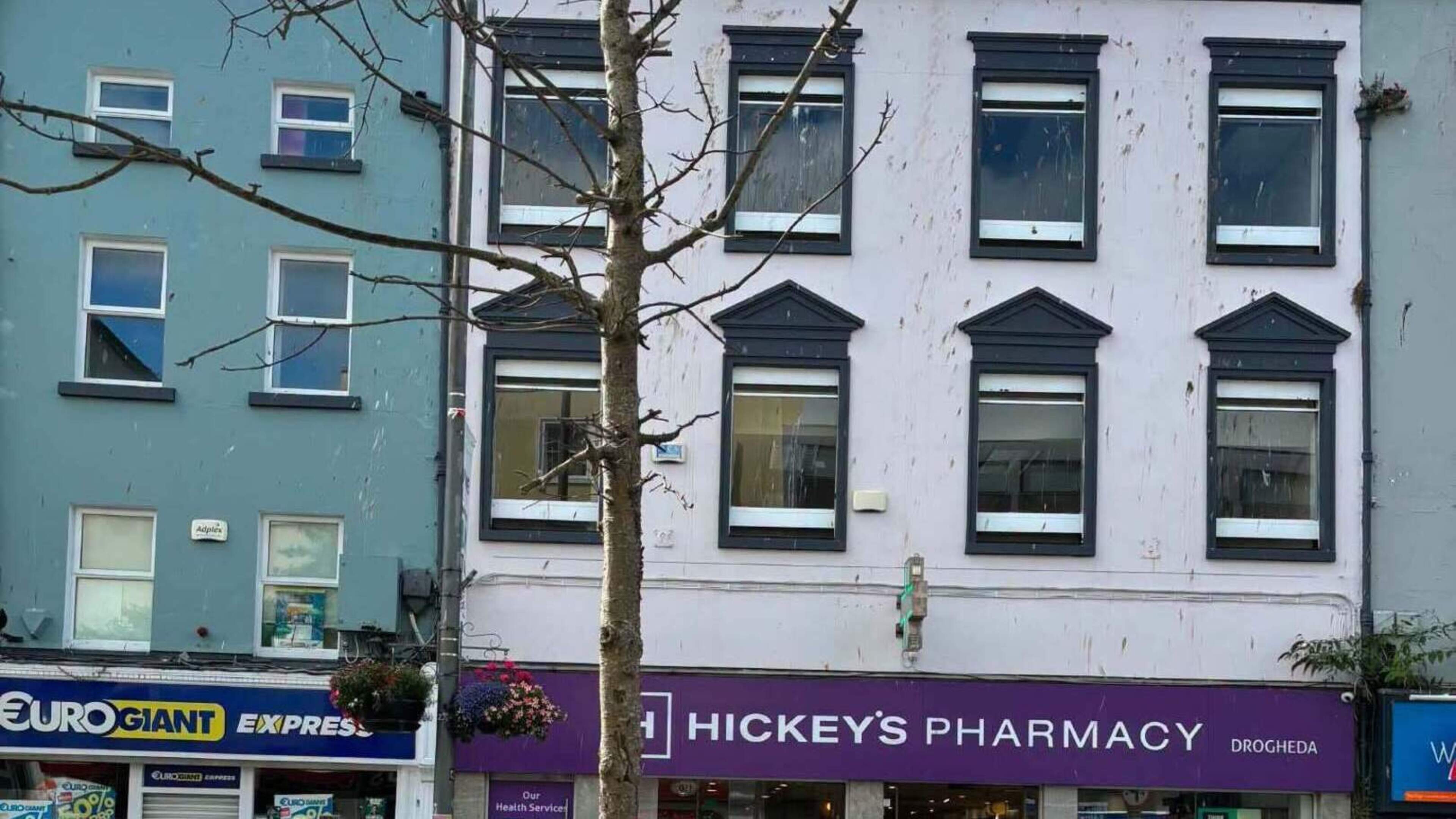 Louth councillor calls for soil testing after tree deaths on Drogheda’s ‘premier street’